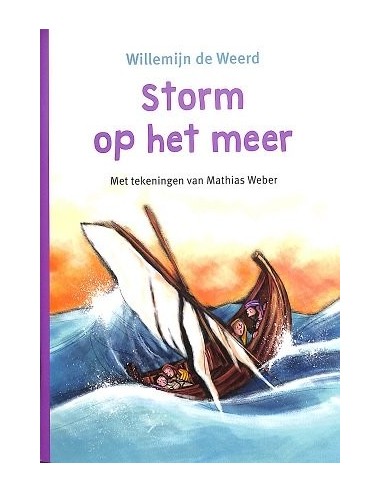 Willemien de Weerd - Storm op het water