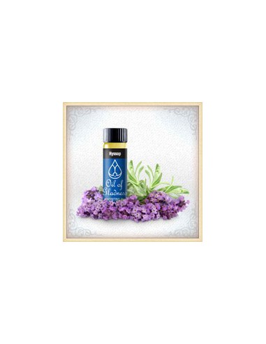 ANOINTING OIL 15ML - HYSSOP